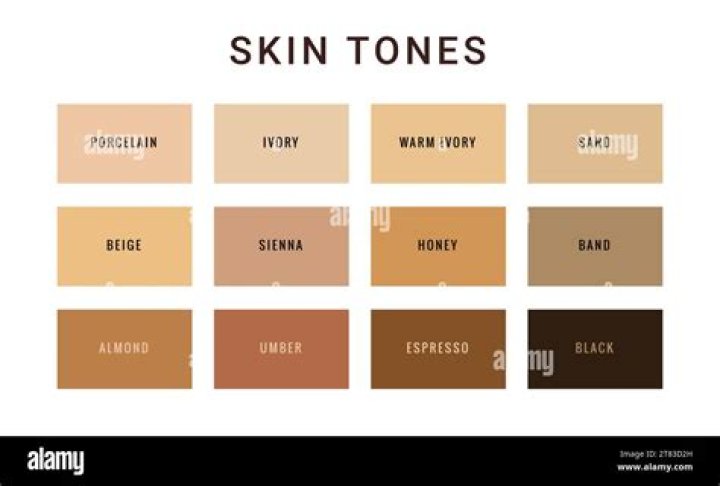 What are the main skin tones?