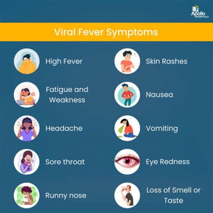 What are the symptoms of high lead levels?