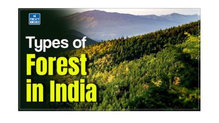 What are the types of forests in India?