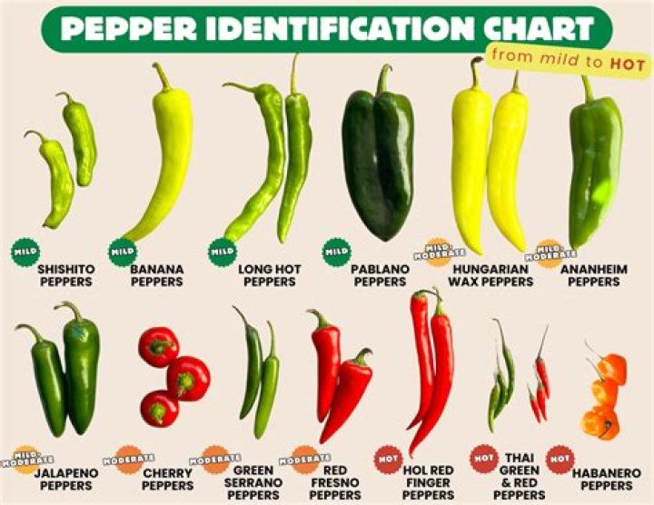 What are tiny sweet peppers called?