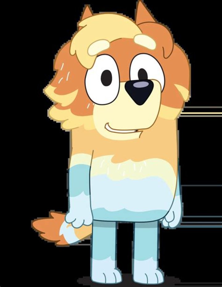 What breed is Uncle Rad from Bluey?