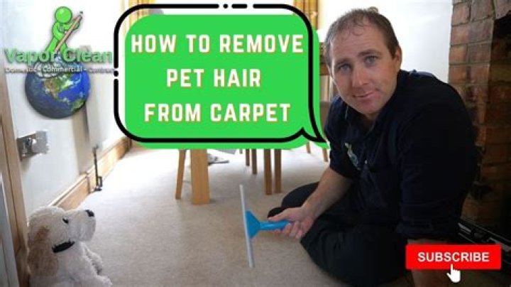 What can I put in the dryer to remove pet hair?