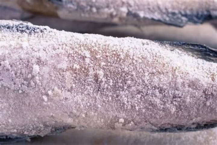 What causes freezer burn on fish?