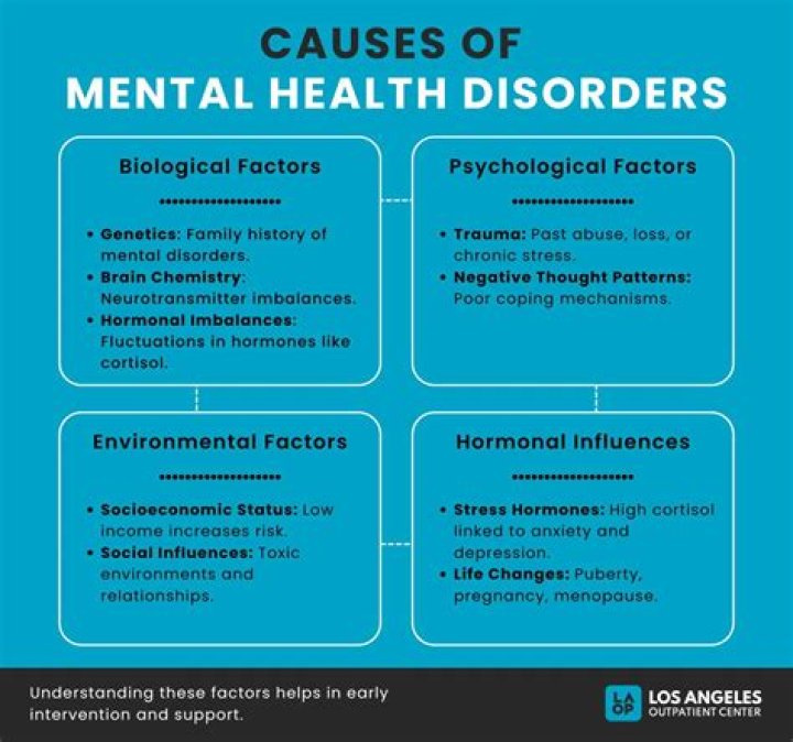 What causes mental illness?