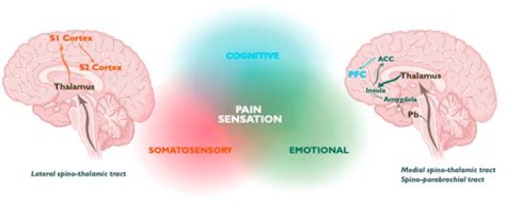 What causes sadness in the brain?