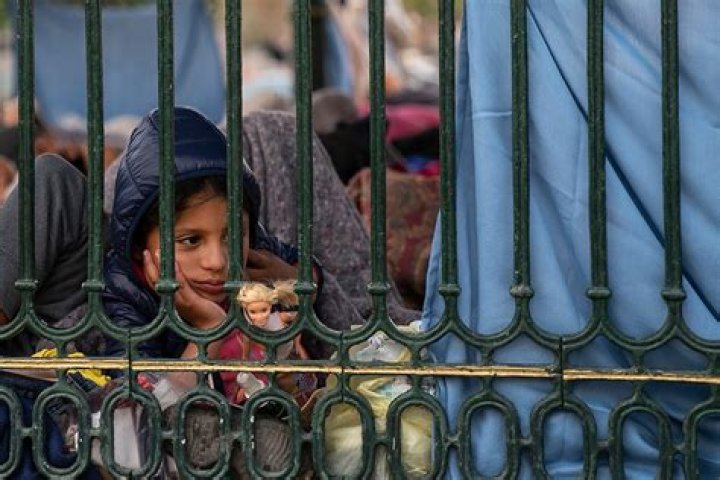 What challenges do children of immigrants face in a new country?