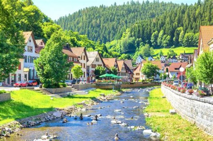 What city is closest to the Black Forest?
