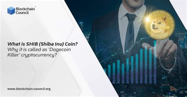 What coin is Dogecoin Killer?