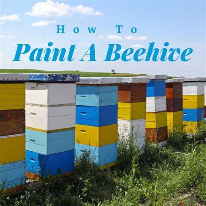 What color should you not paint a beehive?
