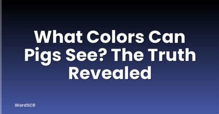What colors can pigs see?
