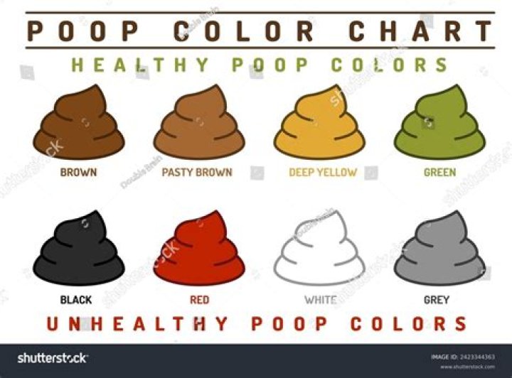 What Colour is bat poo?