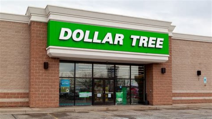 What companies does Dollar Tree own?