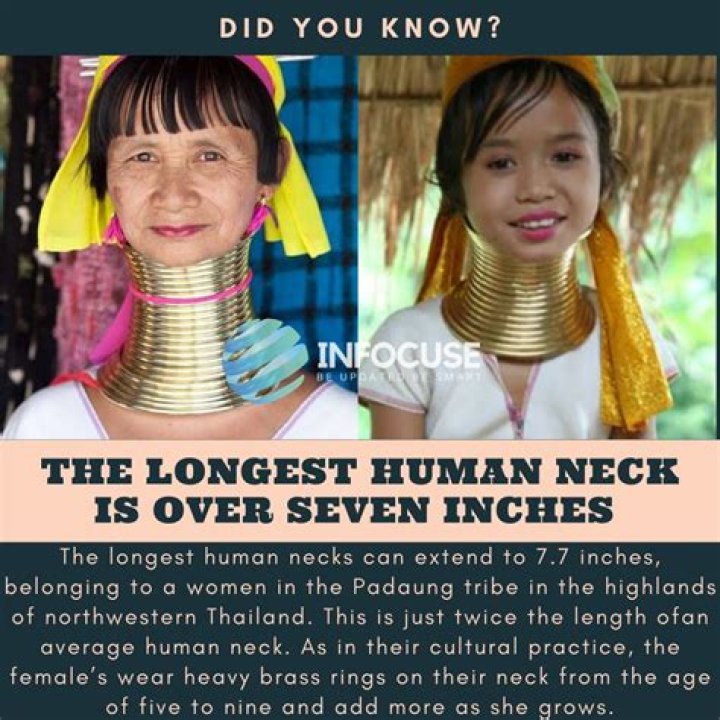 What culture lives the longest?