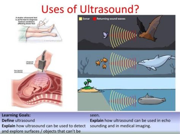 What damage can ultrasound cause?