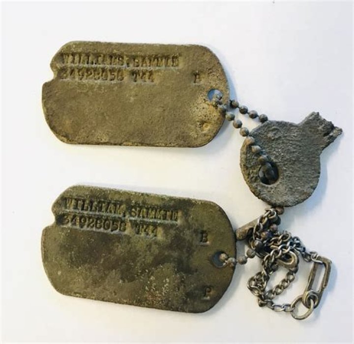 What did civil war dog tags look like?