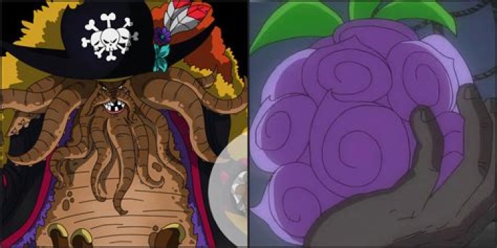 What did the 16 bells mean in One Piece?