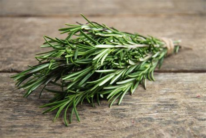 What diseases does rosemary cure?