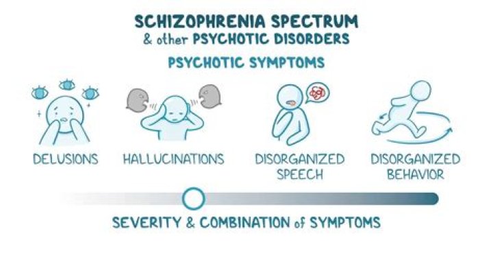 What disorder is similar to schizophrenia?