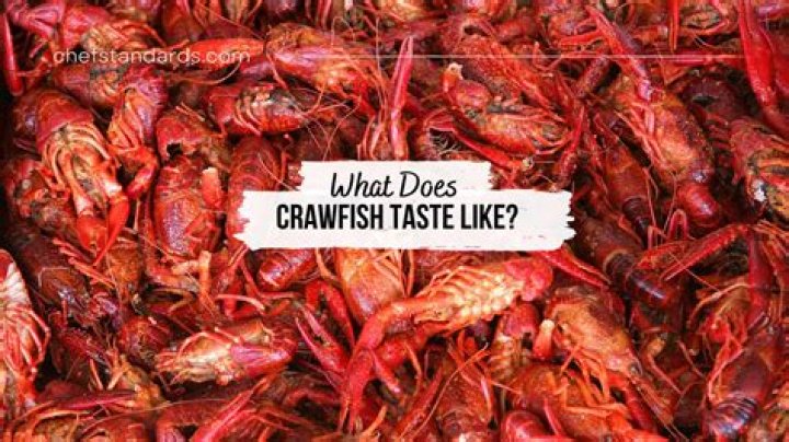 What do bees taste like?