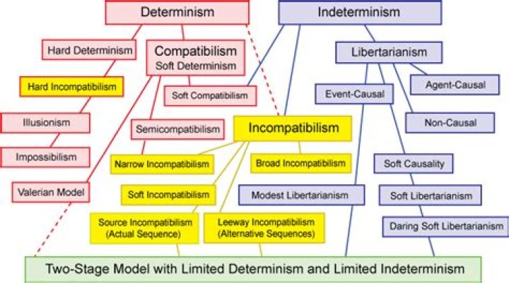 What do libertarians believe about free will?