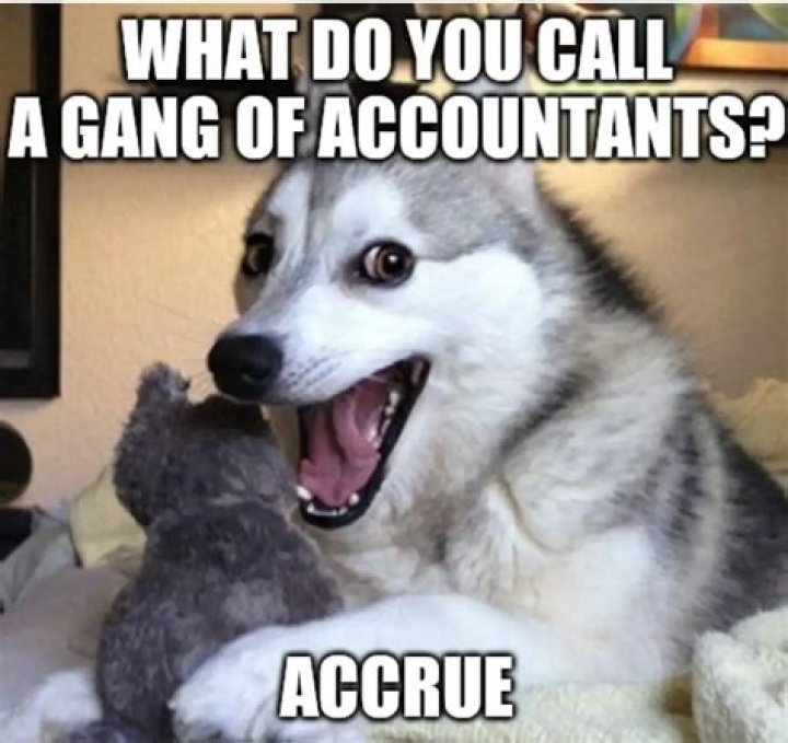 What do you call a white wolf?