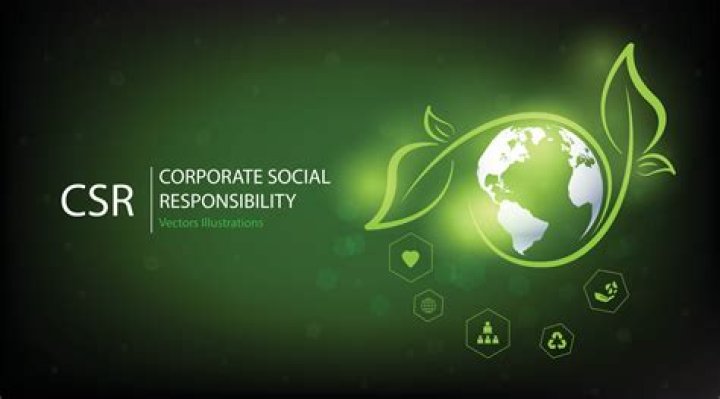What do you mean by corporate social responsibility briefly discuss its importance in developing economy like India?