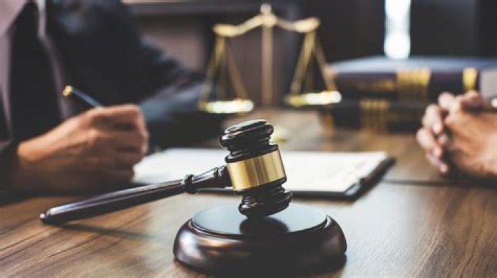 What does a clearance adjudicator do?