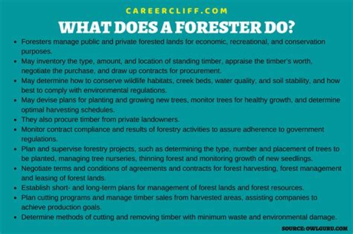 What does a forester do?
