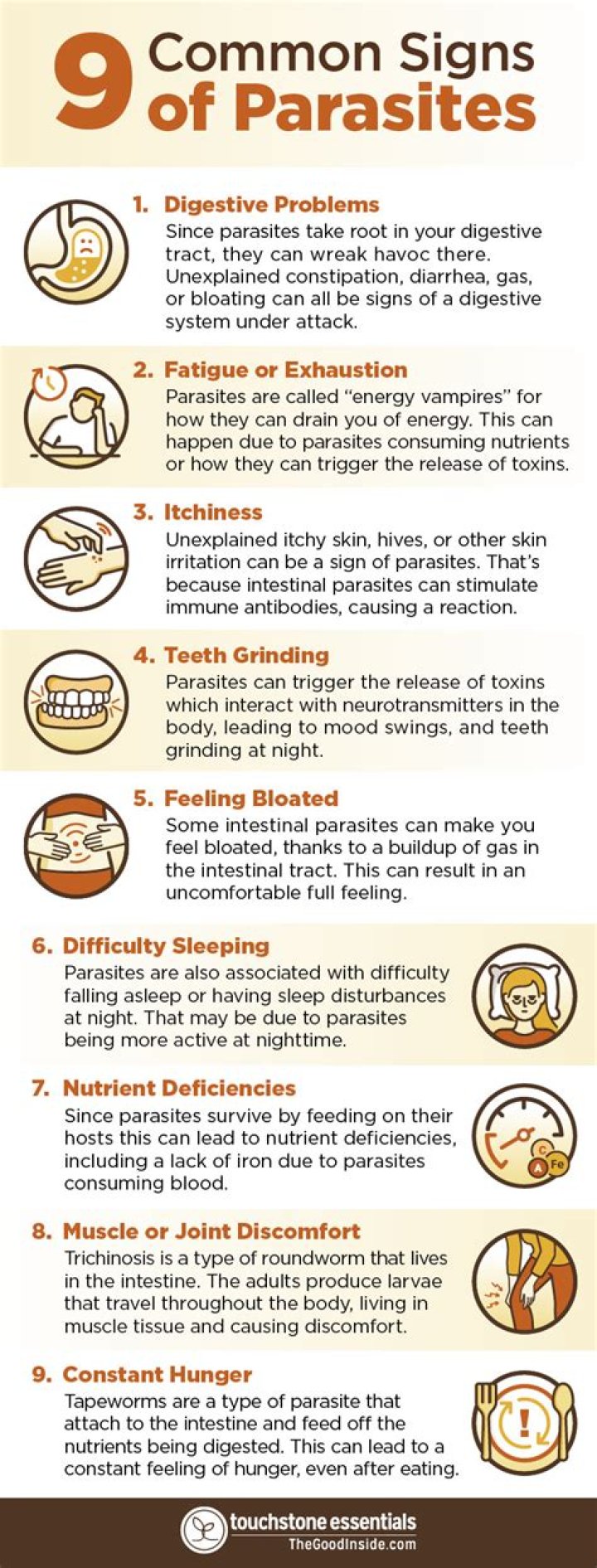 What does a parasite look like on your skin?