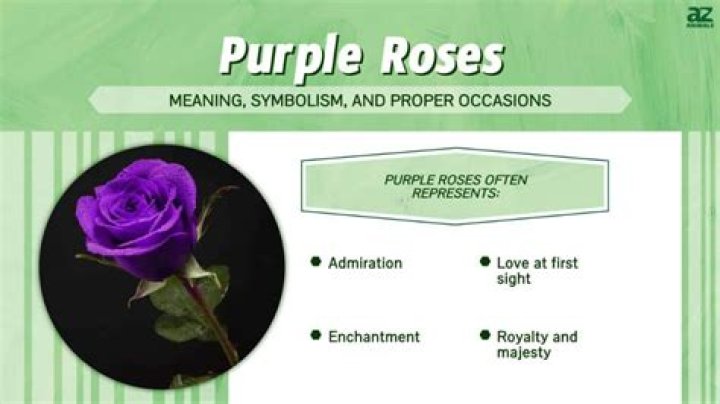What does a purple rose mean spiritually?