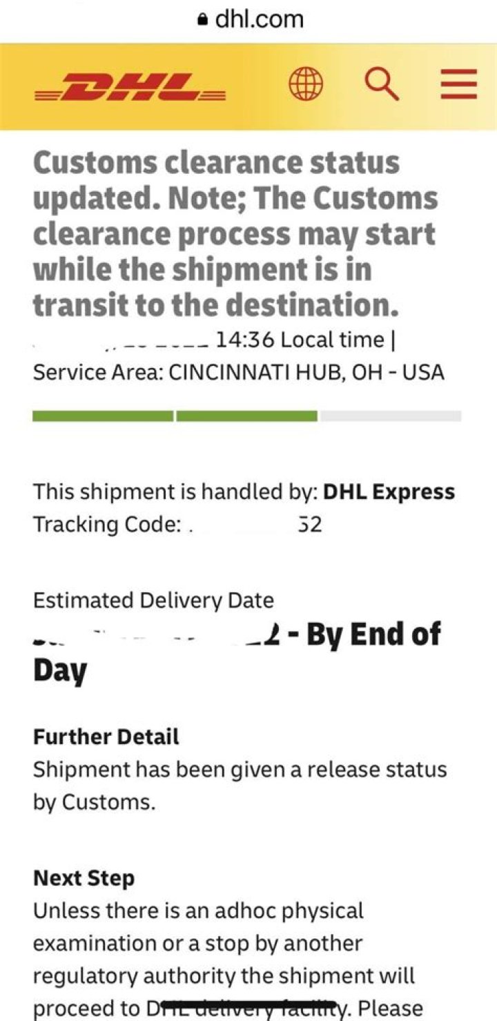 What does clearance delay mean DHL?