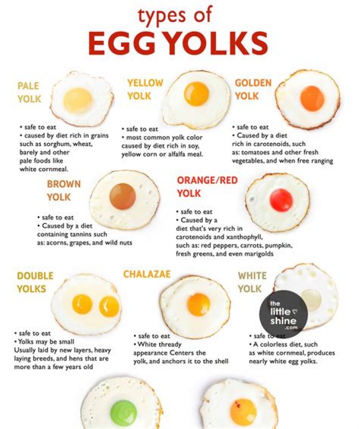 What does egg yolk do to your hair?