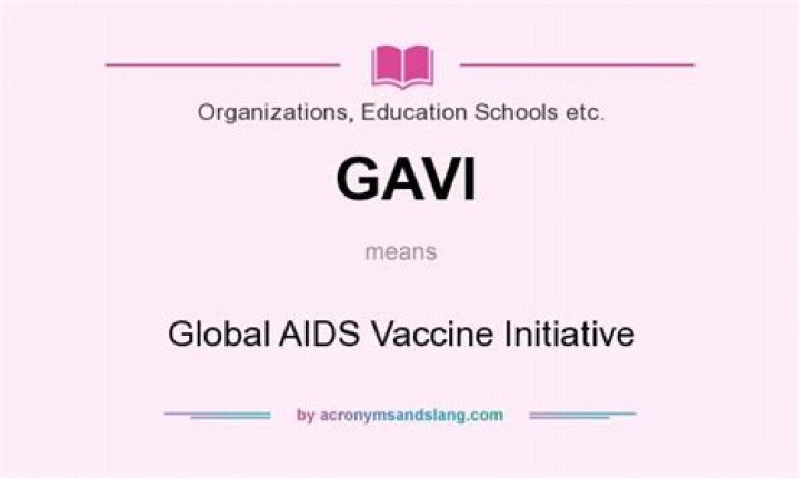 What does GAVI stand for?