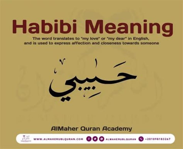 What does Hani mean in Arabic?