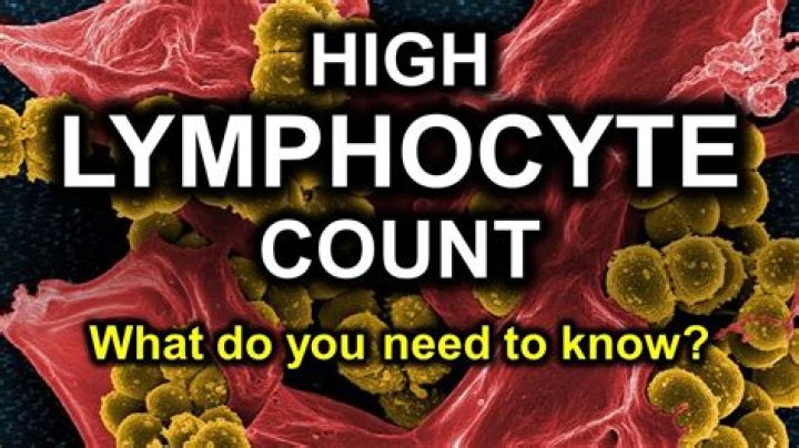 What does high neutrophils and high lymphocytes mean?