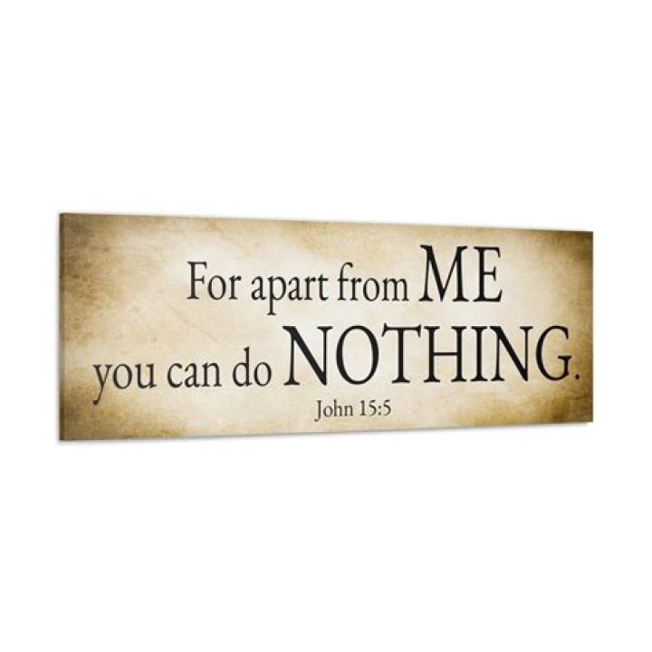What does it mean apart from me you can do nothing?