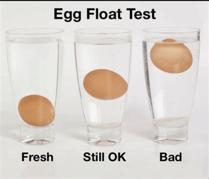 What does it mean if an egg floats?