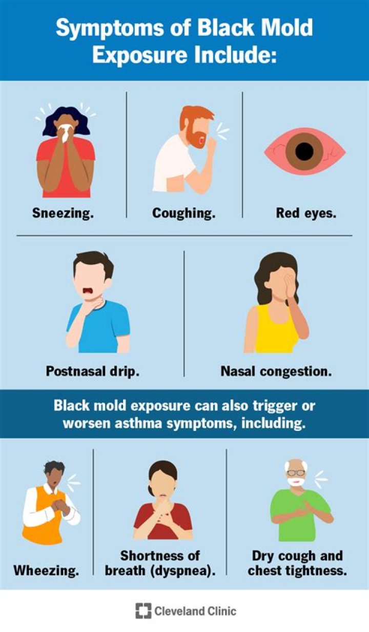 What does it mean to mold a person?