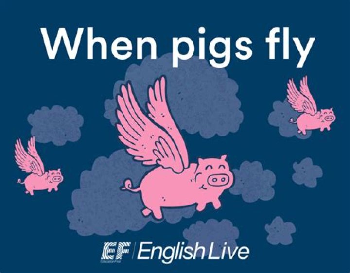 What does it mean when someone says when pigs fly?