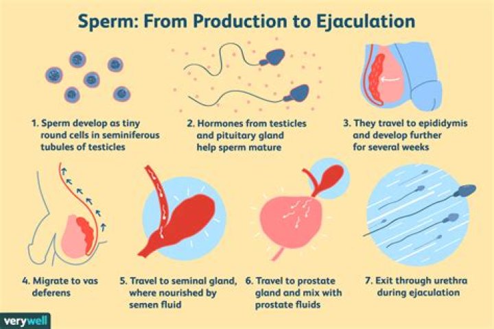 What does it mean when sperm Burns?