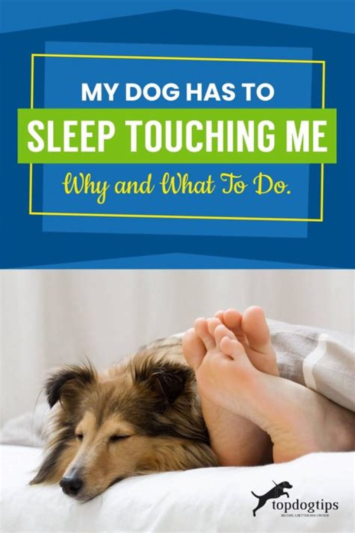 What does it mean when your dog has to sleep touching you?