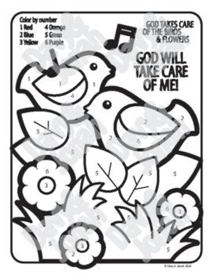 What does Jesus say about the birds and flowers?