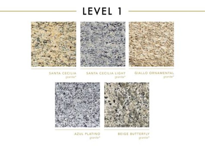 What does Level 1 granite look like?