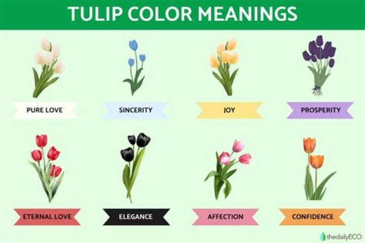 What does pink tulip symbolize?