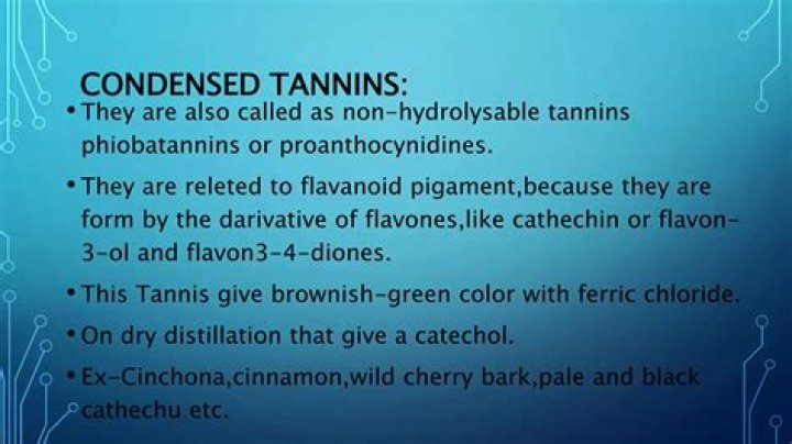 What does ripe tannins mean?
