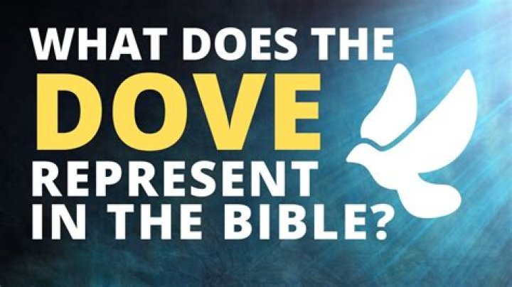 What does the dove represent in the Bible?
