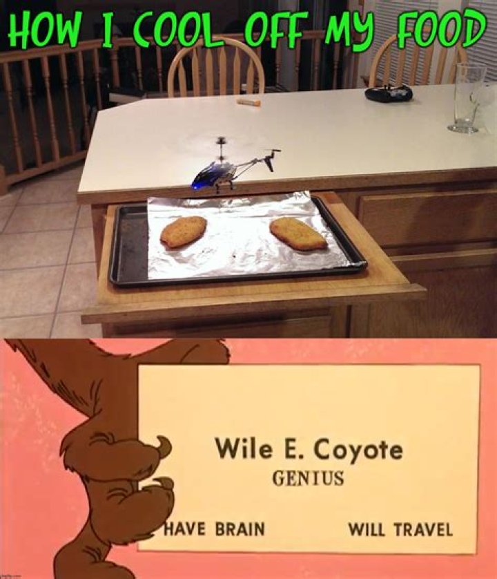 What does the E stand for in Wile E. Coyote?
