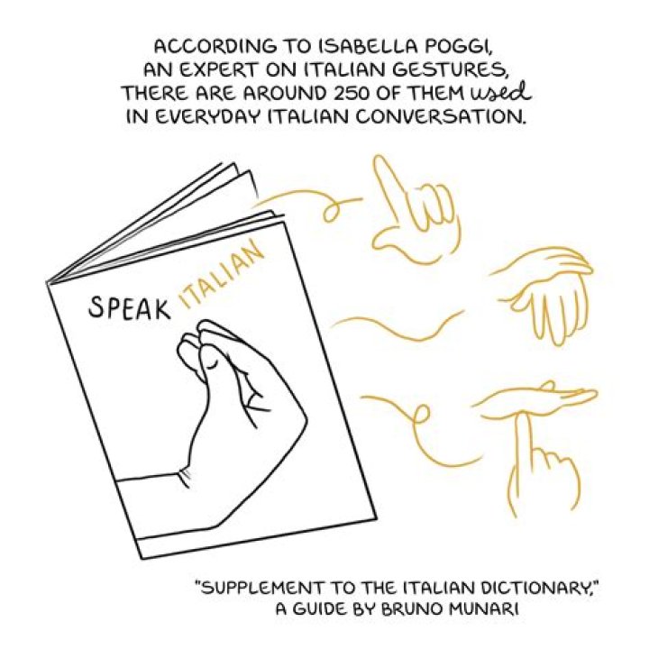 What does TIA mean in Italian?