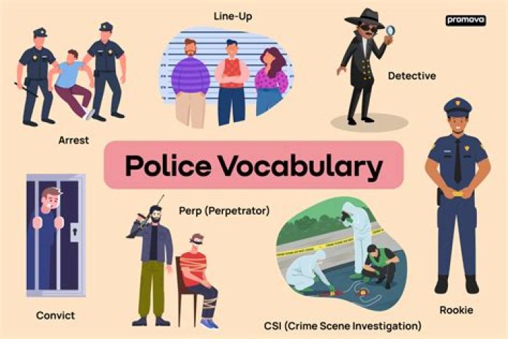 What does vice stand for in police?
