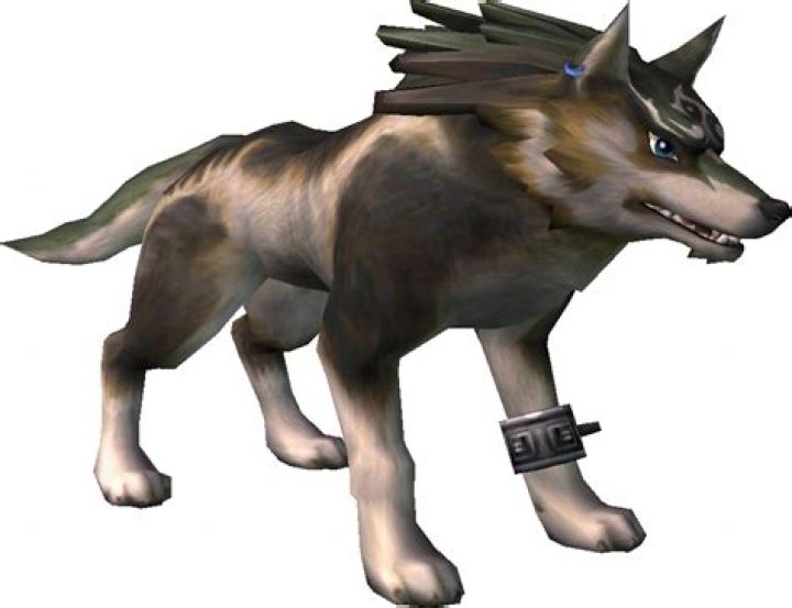 What does Wolf Link do Botw?
